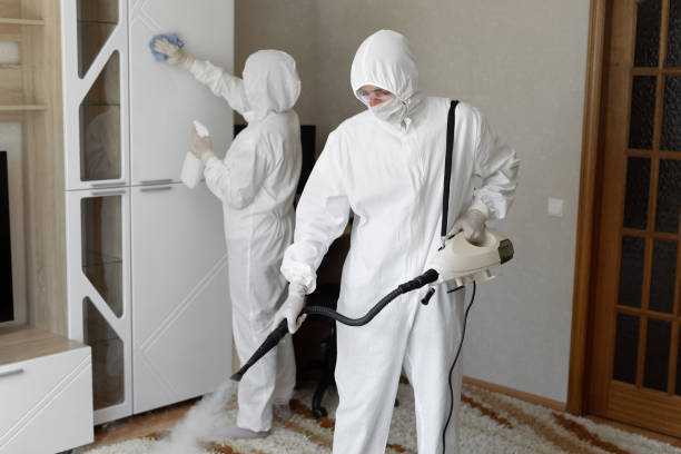 24/7 Emergency Odor Removal experts in Ravensdale, WA